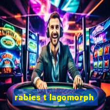 rabies t lagomorph