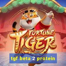 tgf beta 2 protein