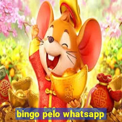 bingo pelo whatsapp