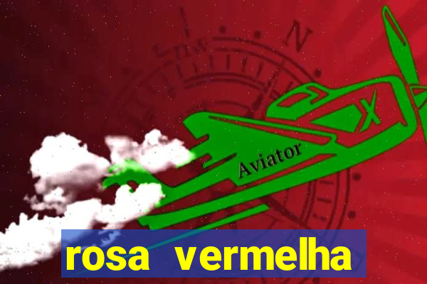 rosa vermelha (letra e cifra)