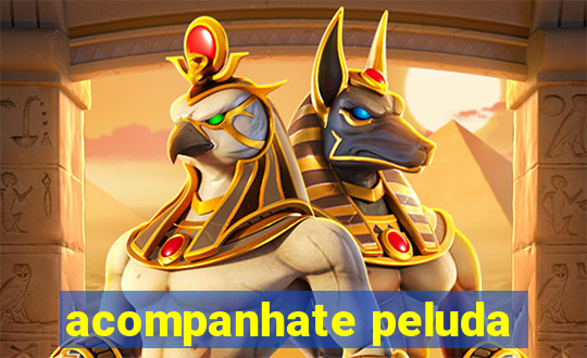 acompanhate peluda