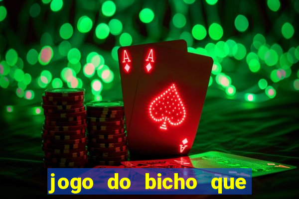 jogo do bicho que paga no pix