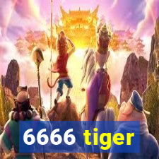 6666 tiger