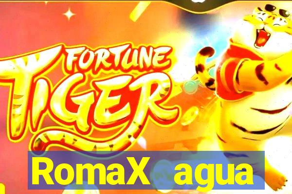 RomaX agua sanitaria fispq agua sanitaria romax