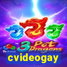 cvideogay