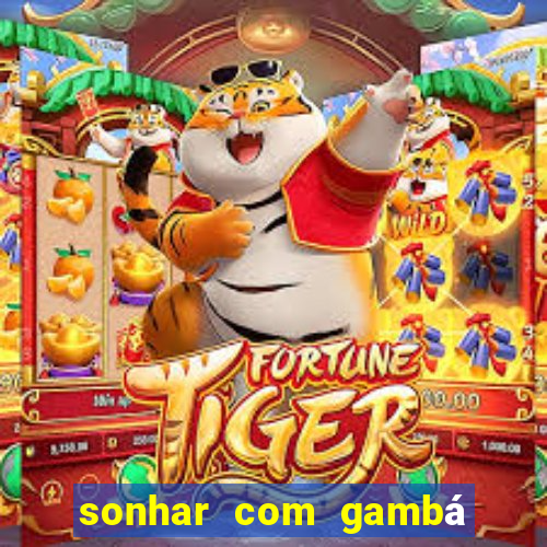 sonhar com gambá jogo do bicho