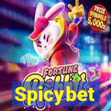 Spicybet