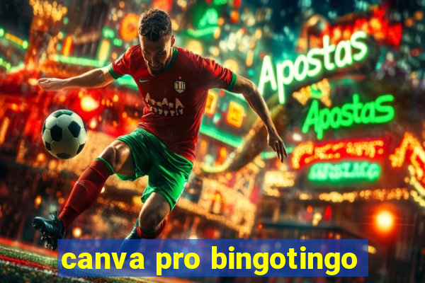 canva pro bingotingo