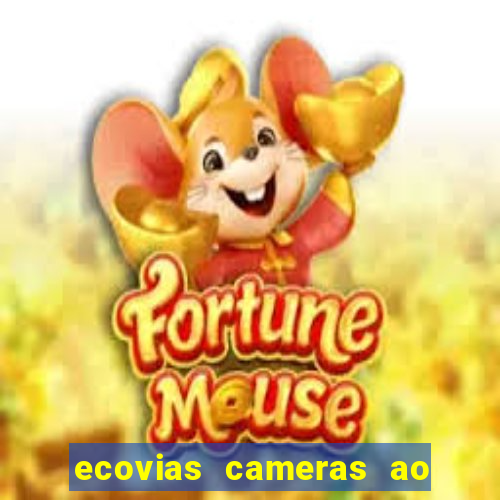 ecovias cameras ao vivo santos