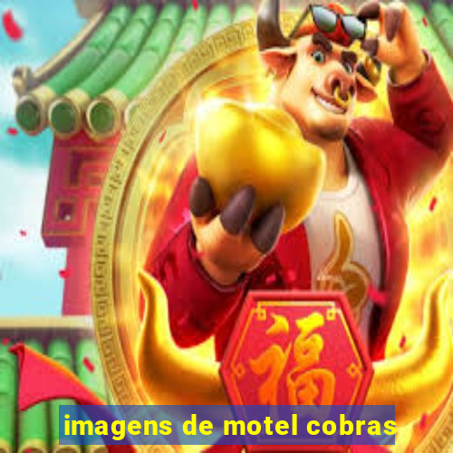 imagens de motel cobras