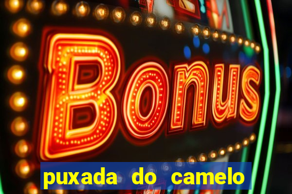 puxada do camelo jogo do bicho