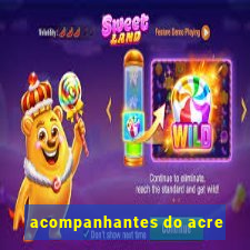 acompanhantes do acre