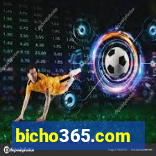 bicho365.com