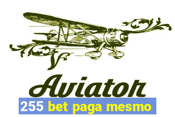 255 bet paga mesmo